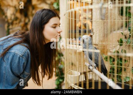 Jeune femme regardant le perroquet dans la cage, magasin d'animaux de compagnie Banque D'Images