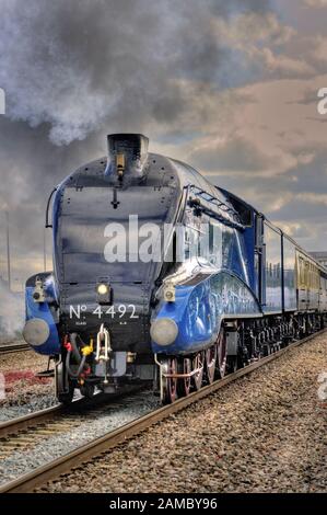 Train à vapeur sur Chippenham, transporté par la classe A4 No 60019 du Pacifique Le Petit Blongios, exécuté en tant que pas de 4492. Traitée comme une image HDR. (Voir note). Banque D'Images