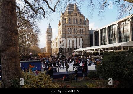 Patinoire Au Natural History Museum Kensington Londres England Banque D'Images