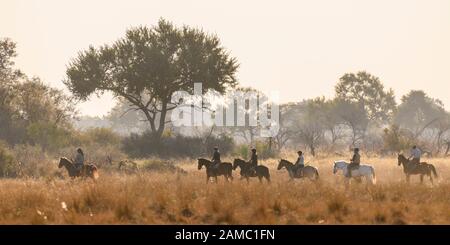 Safari à cheval à Macatoo, dans le Delta d'Okavango, au Botswana Banque D'Images