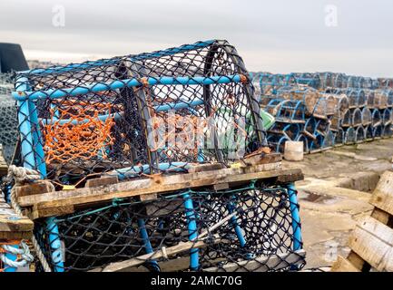 Homard Creels Au North Berwick Harbour, East Lothian, Écosse, Royaume-Uni. Banque D'Images