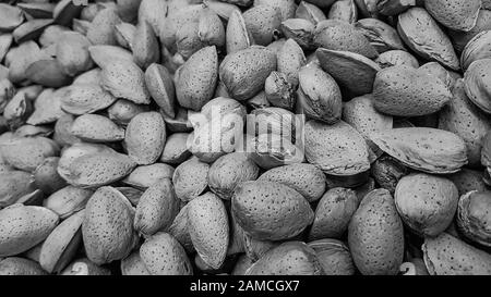 Gros plan d'amandes brutes dans la coquille de style noir et blanc Banque D'Images