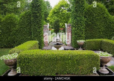 Buxus sempervirens 'Green Gem' - arbuste de Boxwood, Thuja occidentalis - haies de cèdre avec fontaine d'eau et porte de clôture ouverte dans la cour privée. Banque D'Images