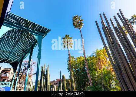 Le magnifique Jardin Majorelle est un jardin botanique, le jardin tropical et l'artiste jardin paysage à Marrakech, Maroc. Banque D'Images