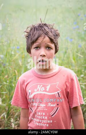 Enfant avec visage sale après le temps de jeu sur la prairie. Vacances, vacances, campagne polonaise. Un portrait de garçon. Banque D'Images