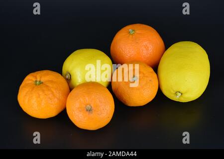 Fruits frais, deux citrons jaunes, trois petits mandarins orange, une grande minéralola se trouve sur un fond en plastique noir. Délicieux et sucré. Banque D'Images