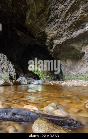 Ōpārara Arch, dans le parc national de Kahurangi Karamea avec log Banque D'Images