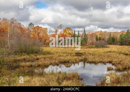 Une journée d'automne nuageux dans le nord du Wisconsin. Banque D'Images