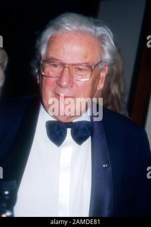 Century City, Californie, États-Unis 12 mai 1995 un acteur assiste à l'événement Thaliens le 12 mai 1995 à l'hôtel Century Plaza de Century City, Californie, États-Unis. Photo De Barry King/Alay Stock Photo Banque D'Images