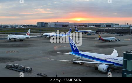 Tokyo, Japon - 2 Novembre 2019. Des avions de passagers amarré à l'aéroport de Tokyo Haneda (HND). Haneda était le 3ème aéroport le plus achalandé d'Asie, avec 87 098 683 Banque D'Images