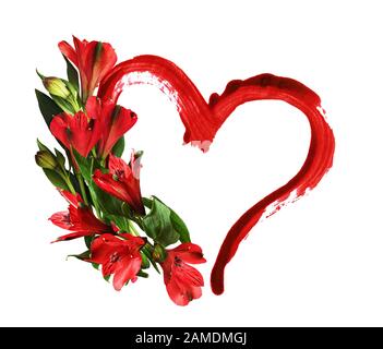 Fleurs d'alstroemeria rouges et un coup de pinceau en forme de coeur isolé sur fond blanc. Concept pour la Saint Valentin. Banque D'Images