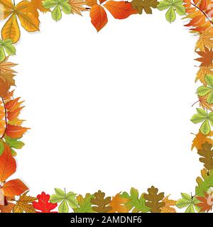 Illustration vectorielle de la composition d'automne. Cadre en feuilles séchées colorées. Automne, concept d'automne.vue sur le dessus, plat. Illustration de Vecteur