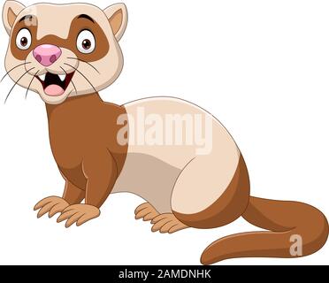 Caricature furet drôle isolé sur le fond blanc Illustration de Vecteur