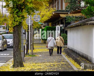 Kyoto, Japon - 28 Novembre 2016. Rue à pied avec des arbres ginkgo à l'automne à Kyoto, Japon. Kyoto a servi de capitale du Japon et de résidence de l'empereur Banque D'Images