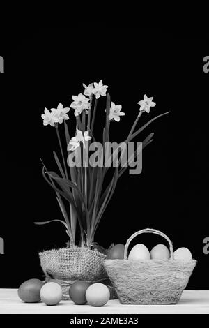 Fleurs en pot en toile de sac sur table en bois jaune par oeufs de Pâques. Narcisse et le décor de Pâques sur fond noir. Oeufs en rouge, bleu, vert et jaune placés dans le panier vert près des fleurs narcissi Banque D'Images