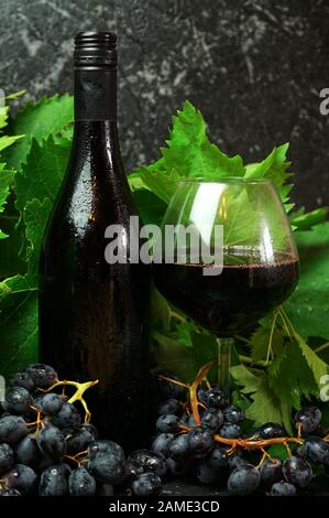 Nettoyez la bouteille de peau et le verre de vin rouge de qualité dans un cadre de dégustation de vins avec de la vigne et des raisins rouges. Banque D'Images