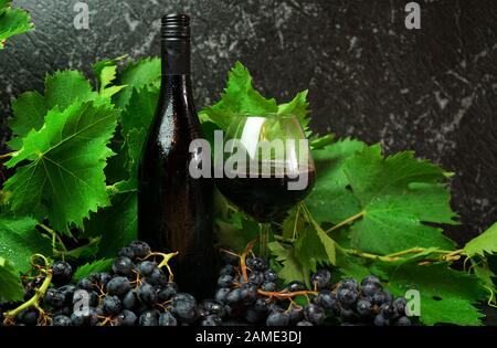 Nettoyez la bouteille de peau et le verre de vin rouge de qualité supérieure dans un cadre de dégustation de vins avec de la vigne et des raisins rouges, avec un espace de copie négatif. Banque D'Images