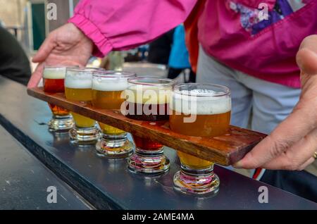 Dégustation de bières artisanales : cinq verres aux bières de différentes couleurs et saveurs. Un porte-gobelet en bois maintient les verres en rangée. Deux han de femme caucasienne Banque D'Images