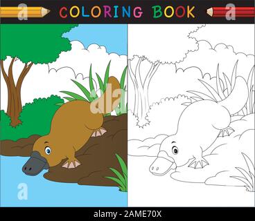 Livre de coloriage de platypus de caricature, série d'animaux australiens Illustration de Vecteur