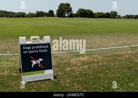 Chiens interdits sur le terrain de sport portable panneau plastique herbe cricket terrain de cricket Parnell cricket club, Parnell, Auckland, Nouvelle-Zélande. Banque D'Images