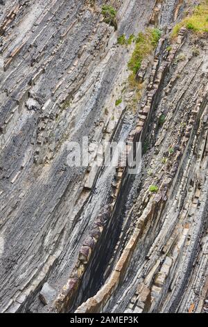 Formation rocheuse spectaculaire flysch côte cantabrique en Zumaia, l'Euskadi. Espagne Banque D'Images