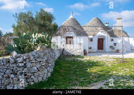 Groupe de belle Trulli avec des symboles traditionnels, maisons anciennes et vieux mur de pierre dans les Pouilles, Italie, l'Europe avec l'usine de figue de Barbarie et Olivier Banque D'Images