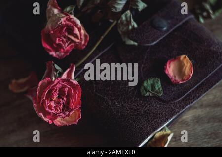 Deux roses roses séchées avec pétales séparés sur le dessus de l'ordinateur portable dans la couverture en cuir Banque D'Images