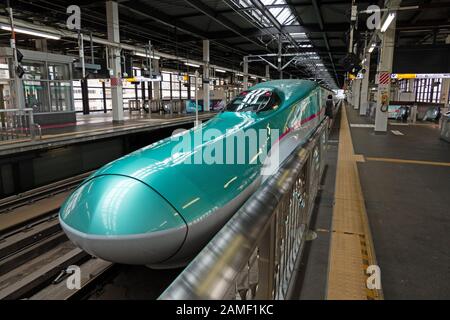 Train à grande vitesse Shinkansen série E-5 à la gare ferroviaire Morioka JR, Japon, Asie. Transports modernes, voyages rapides, voyageurs japonais et Asiatiques Banque D'Images