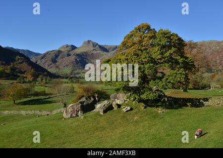 Les Langdale Pikes et les Langdale Boulders, au Royaume-Uni Banque D'Images