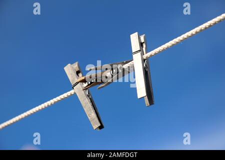 Le cas des pinces à linge en bois sur la corde. Agrafes chiffon accroché dans la corde et l'attente de la prochaine série de vêtements Banque D'Images