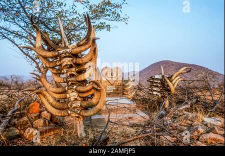 Tombe d'un important chef de clan avec des crânes de bovins abattus sur la tombe de le servir dans l'au-delà. Himba village, Kaokoveld, Namibie, Afrique Banque D'Images