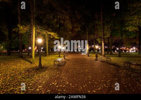 Parc nocturne de la ville en automne avec des chemins parsemés de feuilles et d'arbres jaunes tombés. Paysage. Banque D'Images