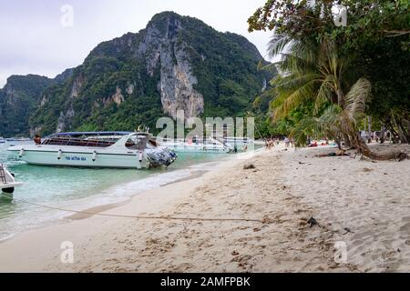 Phi Phi Island, Thaïlande - 24 novembre 2019: Les gens et les touristes bronzer à Ao Tonsai Beach dans Phi Phi Island. Banque D'Images