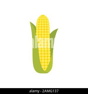 Maïs rafle dans une husk verte isolée sur fond blanc. Maïs doré doux. Oreille de maïs avec feuilles. Maïs fraîchement cueilli. Maïs mûr simple. Vecteur Illustration de Vecteur