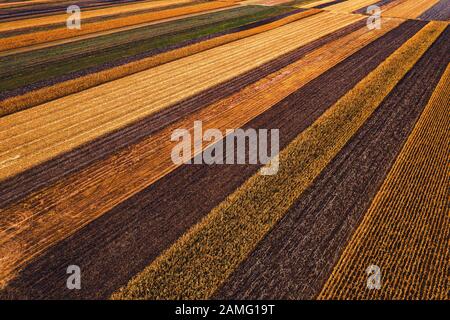 Champs agricoles d'en haut, photographie de drone. Vue aérienne des patchwork colorés de la campagne qui s'estomisent dans une perspective décroissante, Banque D'Images