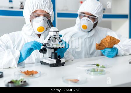 biologiste au microscope et collègue afro-américain tenant la feuille Banque D'Images