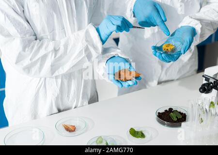 vue rognée des biologistes pointant avec le doigt sur la feuille en laboratoire Banque D'Images