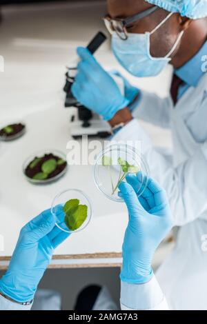 orientation sélective du biologiste qui tient des feuilles et du collègue afro-américain au microscope Banque D'Images