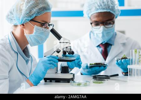 orientation sélective du biologiste au microscope et du collègue afro-américain qui regarde les feuilles sur le fond Banque D'Images