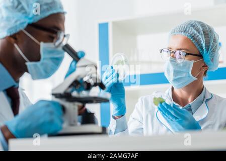 orientation sélective du biologiste qui tient des feuilles et du collègue afro-américain au microscope Banque D'Images