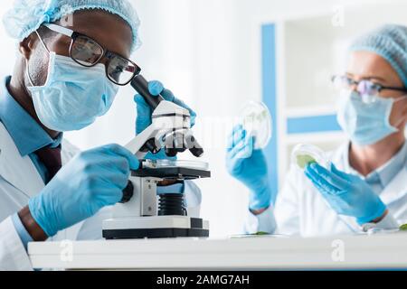 orientation sélective du biologiste afro-américain au microscope et de son collègue tenant des feuilles Banque D'Images