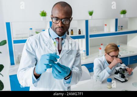 focalisation sélective du biologiste africain américain qui tient le tube à essai et le collègue au microscope sur le fond Banque D'Images