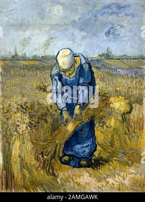 Vincent Van Gogh, femme paysanne qui lie les poulies, (après Millet), peinture, 1889 Banque D'Images