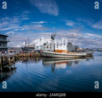 Port De Reykjavik, Journée Culturelle, (Menningarnott) Reykjavik, Islande Banque D'Images