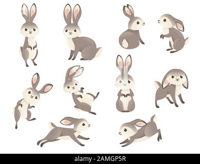 Ensemble de mignon lapin gris assis sur le sol et de la course de dessin animé animal dessin plate illustration vectorielle isolée sur fond blanc. Illustration de Vecteur