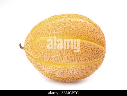 Melon frais isolé sur fond blanc Banque D'Images