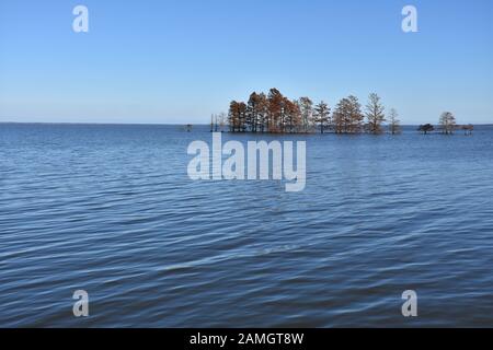 Lac Mattamuskeet situé dans la réserve naturelle nationale de Mattamuskeet est le plus grand lac naturel de Caroline du Nord. Banque D'Images