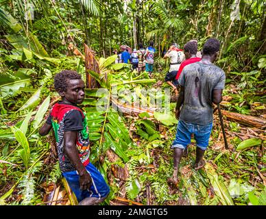 Des autochtones avec des invités étrangers dans la jungle de bougainville Banque D'Images