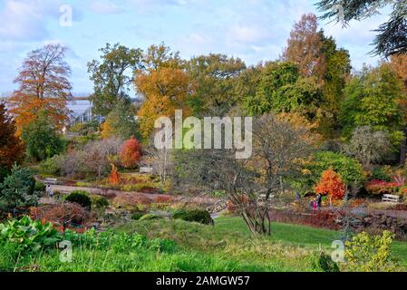 Les jardins de la Royal Horticultural Society dans des couleurs automnales à Wisley, Surrey Angleterre Royaume-Uni Banque D'Images