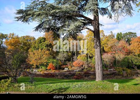 Les jardins de la Royal Horticultural Society dans des couleurs automnales à Wisley, Surrey Angleterre Royaume-Uni Banque D'Images